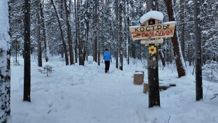 В нашем закрытом городке