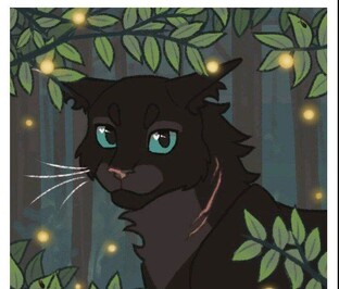 Путь Враногривки 