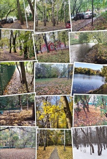 Прогулка 