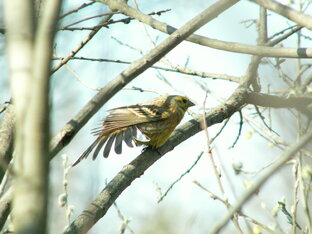 МОИ ФОТОГРАФИИ