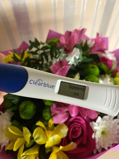 Первый триместр