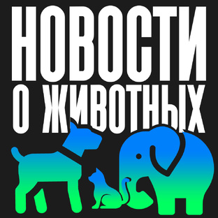 Новости о животных