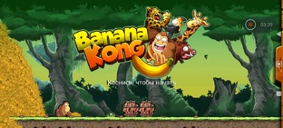 В джунглях Конг 
