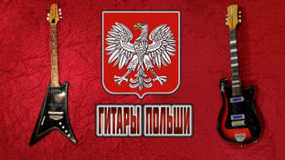 Гитары Польши