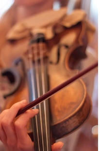 О музыкальных инструментах ✨🎼🍀