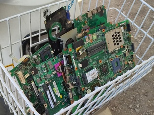 Первые дни лета