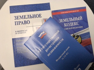 Риэлтор будни