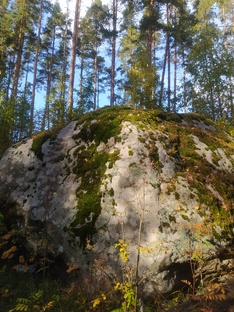Живая история