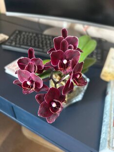 Цветочные дела