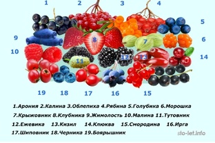 Ягоды и польза для организма 