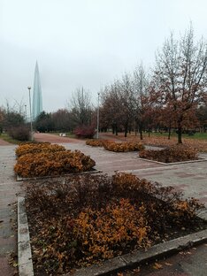 Жизнь в самом красивом городе России