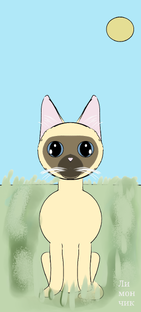 Кошка Сима