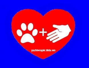 Нужна помощь в лечении, кормлении и содержании 2 