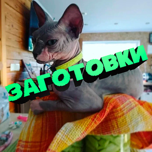 Маринуем - консервируем