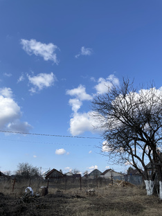 Деревенские пейзажи. 