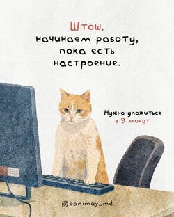 Доброе утро 