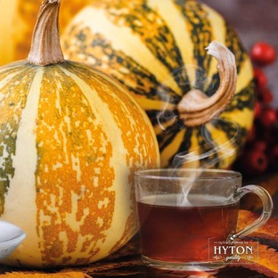 С чашкой вокруг света