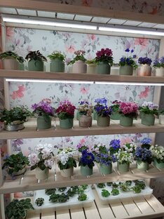 Содержание блога