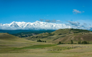 Алтай