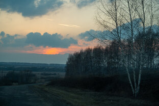 Тамбовская область