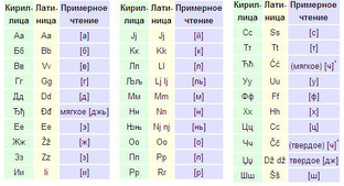 Язык 