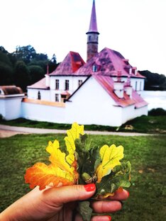 Гатчина