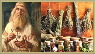 Свой дом в Сибири. Лекарственные растения.