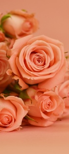 новое знакомство 💞