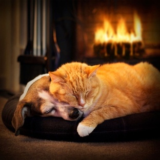 Про комфортное #Одиночество и здоровые #отношения. 