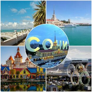 ФАКТЫ О СОЧИ