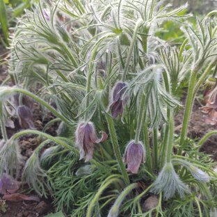 Истории из жизни