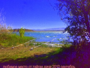 Мои рыбалки