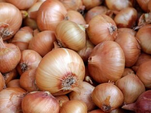 Лук