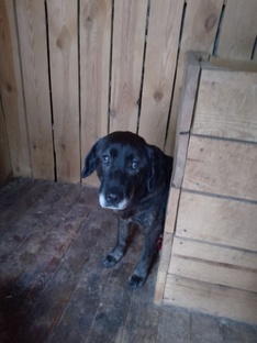 СРОЧНО НУЖНА ПОМОЩЬ