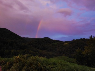 Борьба с бессонницей. Мой опыт. 