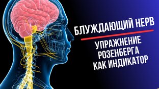 Блуждающий нерв