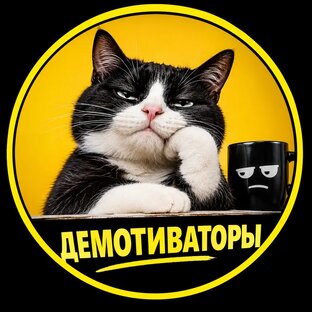 Демотиваторы 