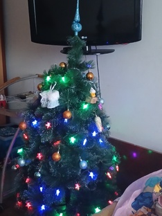 Новогодние видео