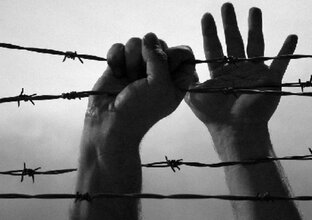 Видеоролики