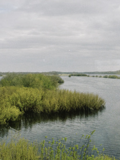 Мои видеоработы 🤍