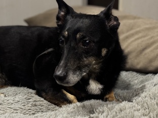 Красотка Тася