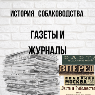 Газеты и журналы - статьи