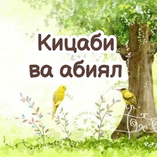 Кицаби ва абиял 