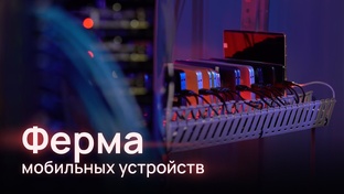 Ферма
