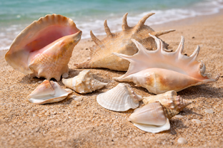 Астрологические талисманы