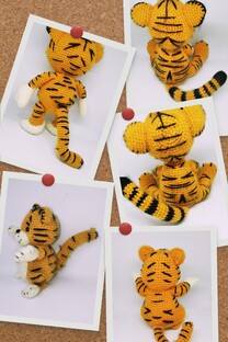 семейство кошачьих 