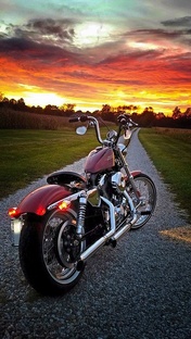 Harley Davidson интересные факты 