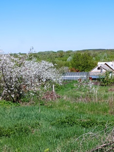 Сад, огород и теплица. 