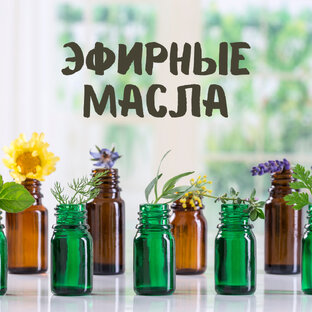 Подробно о каждом масле