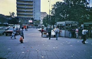 В чем смысл жизни? 